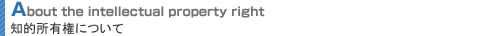 知的所有権について